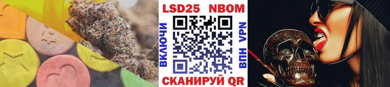 omg сайт  Светлогорск  ЛСД экстази кислота 