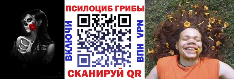 MEGA зеркало  Светлогорск  Псилоцибиновые грибы мухоморы 